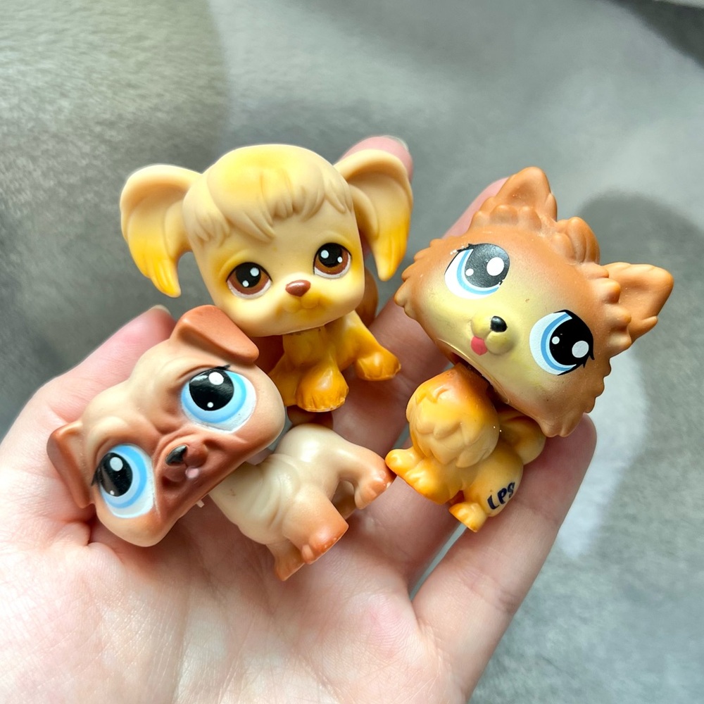 LPS dogs
